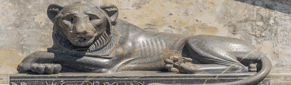 trilobites of America